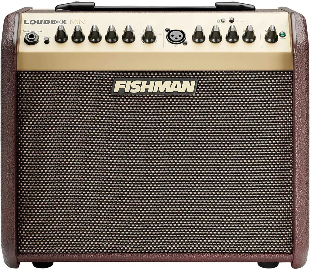 How Does an acoustic amplifier work - Fishman PRO-LBT-500 Loudbox Mini Acoustic Guitar Bluetooth Amplifier