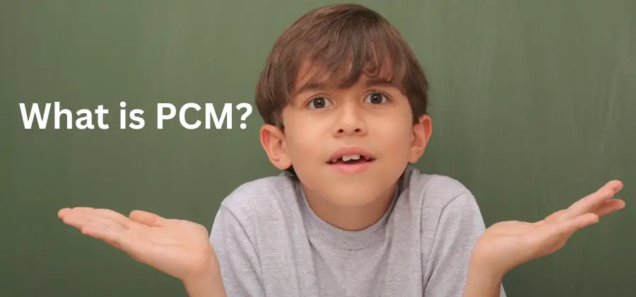 Bitstream vs PCM what is pcm